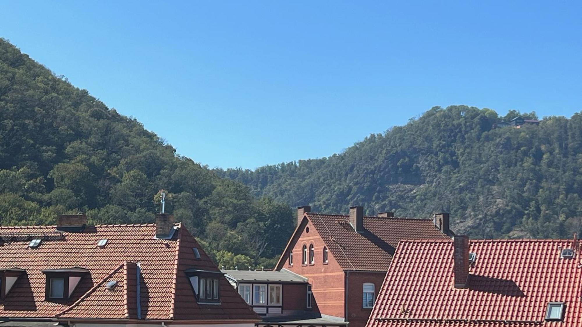 Rosstrappenblick Thale